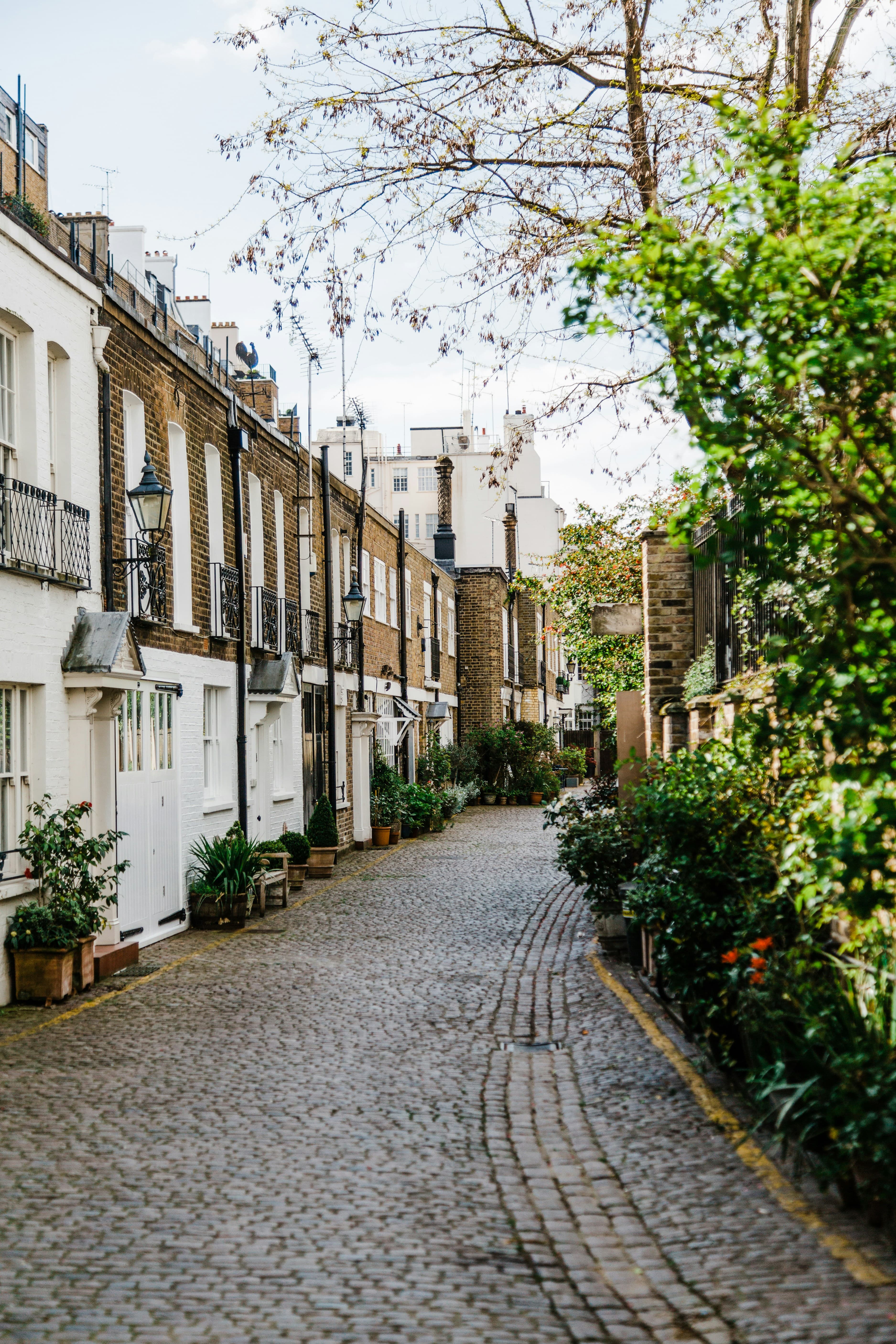 A row of British houses on a residential street under a clear sky.