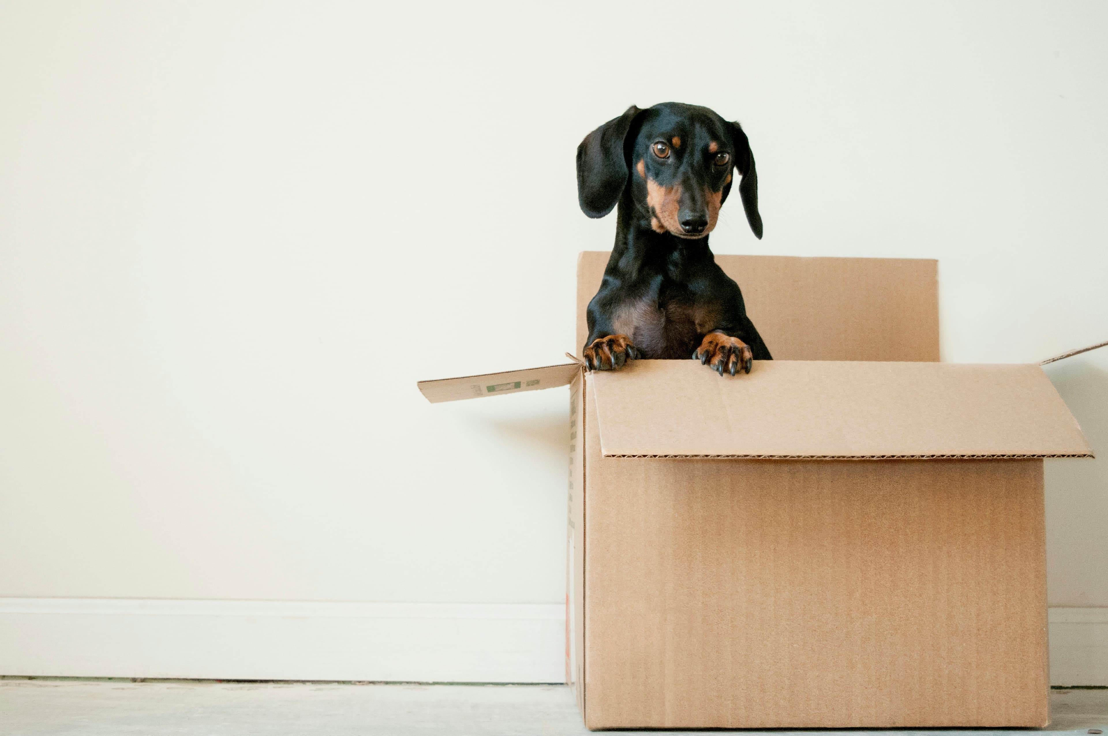 Moving boxes stacked in a home, a household weighing what their property is really worth now
