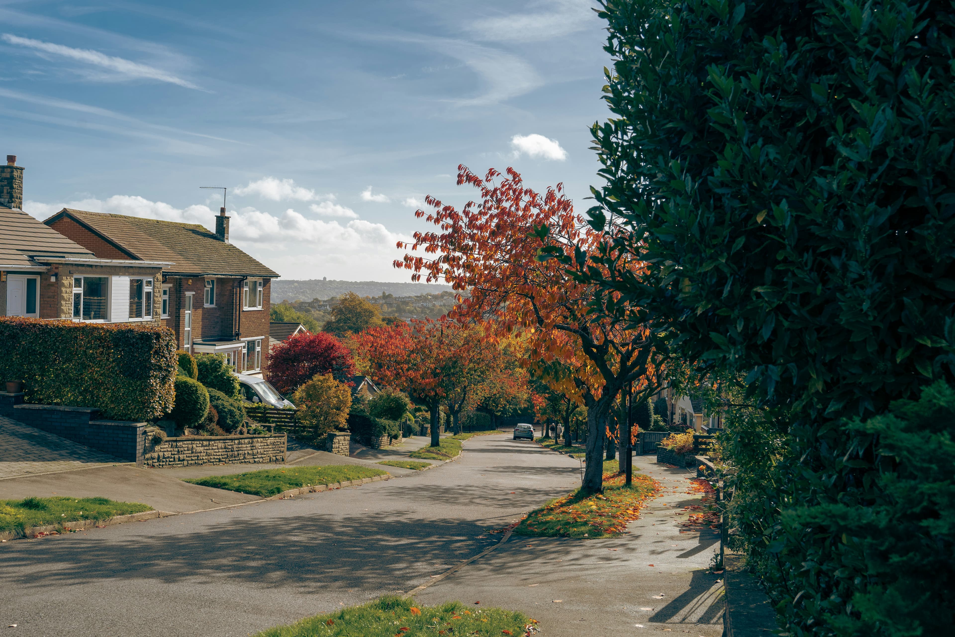 A quiet UK residential street lined with trees and houses