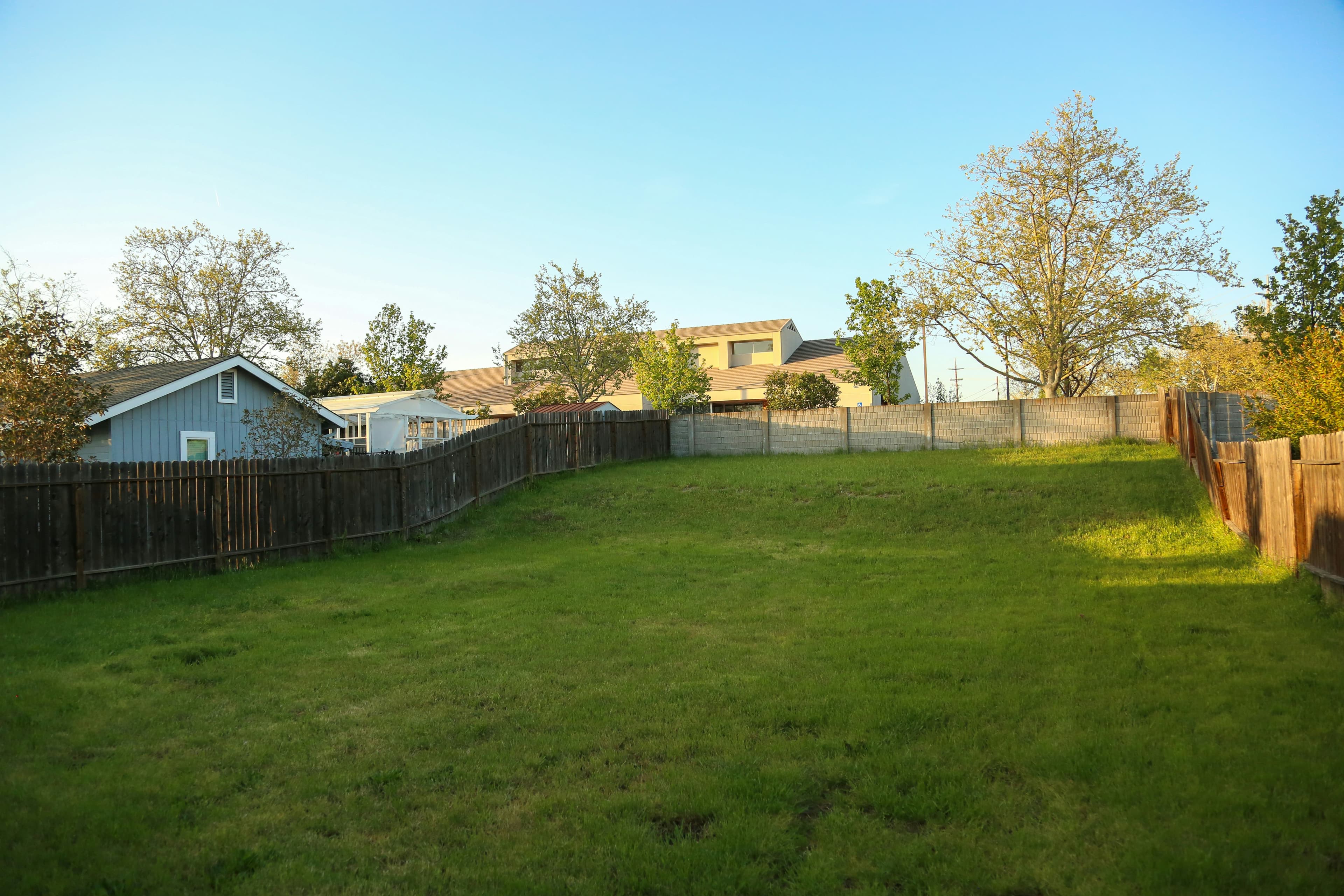 A grassy back garden enclosed by a fence with a house behind it