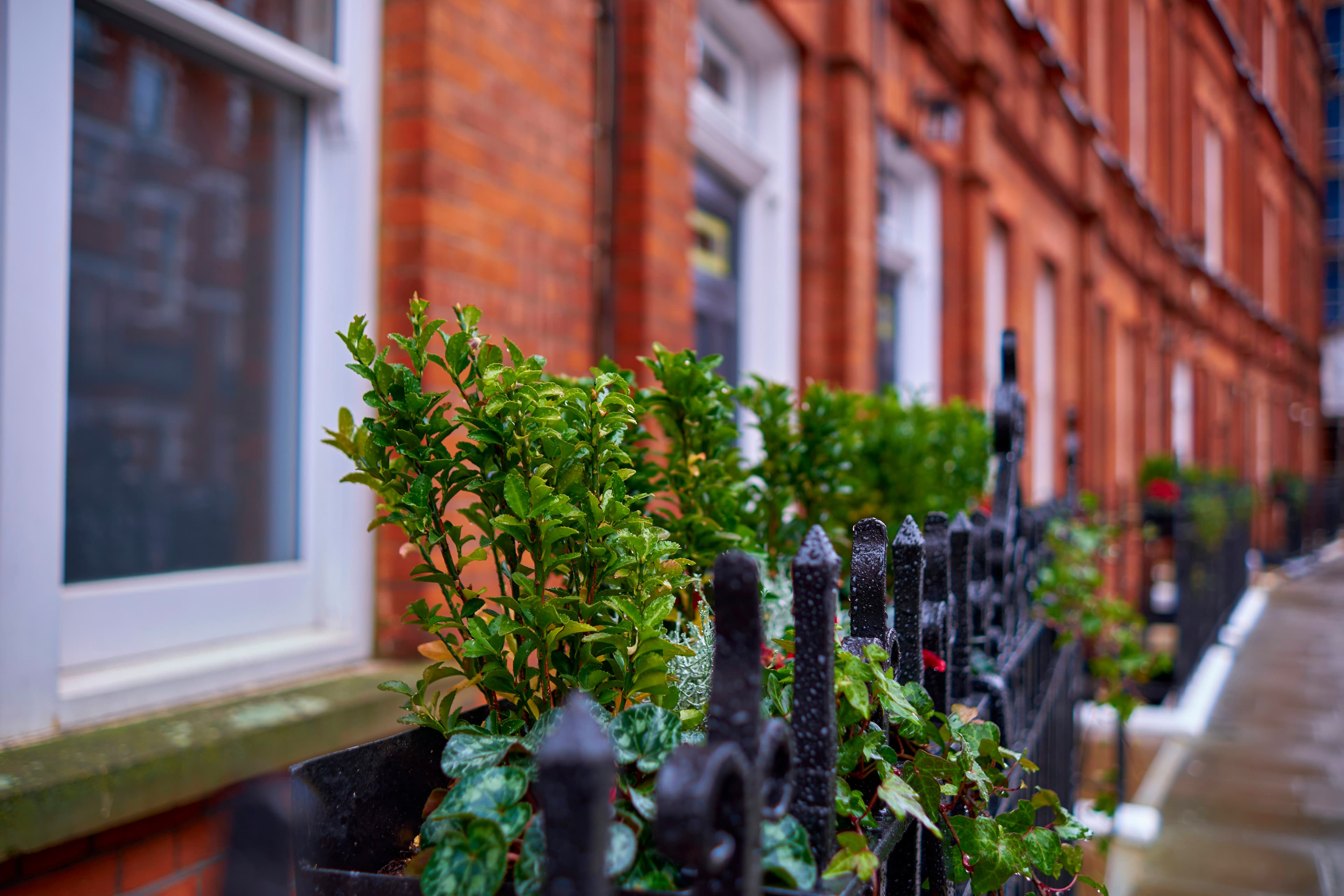 Row of brick residential buildings behind black railings on a UK city street, suggesting leasehold flats