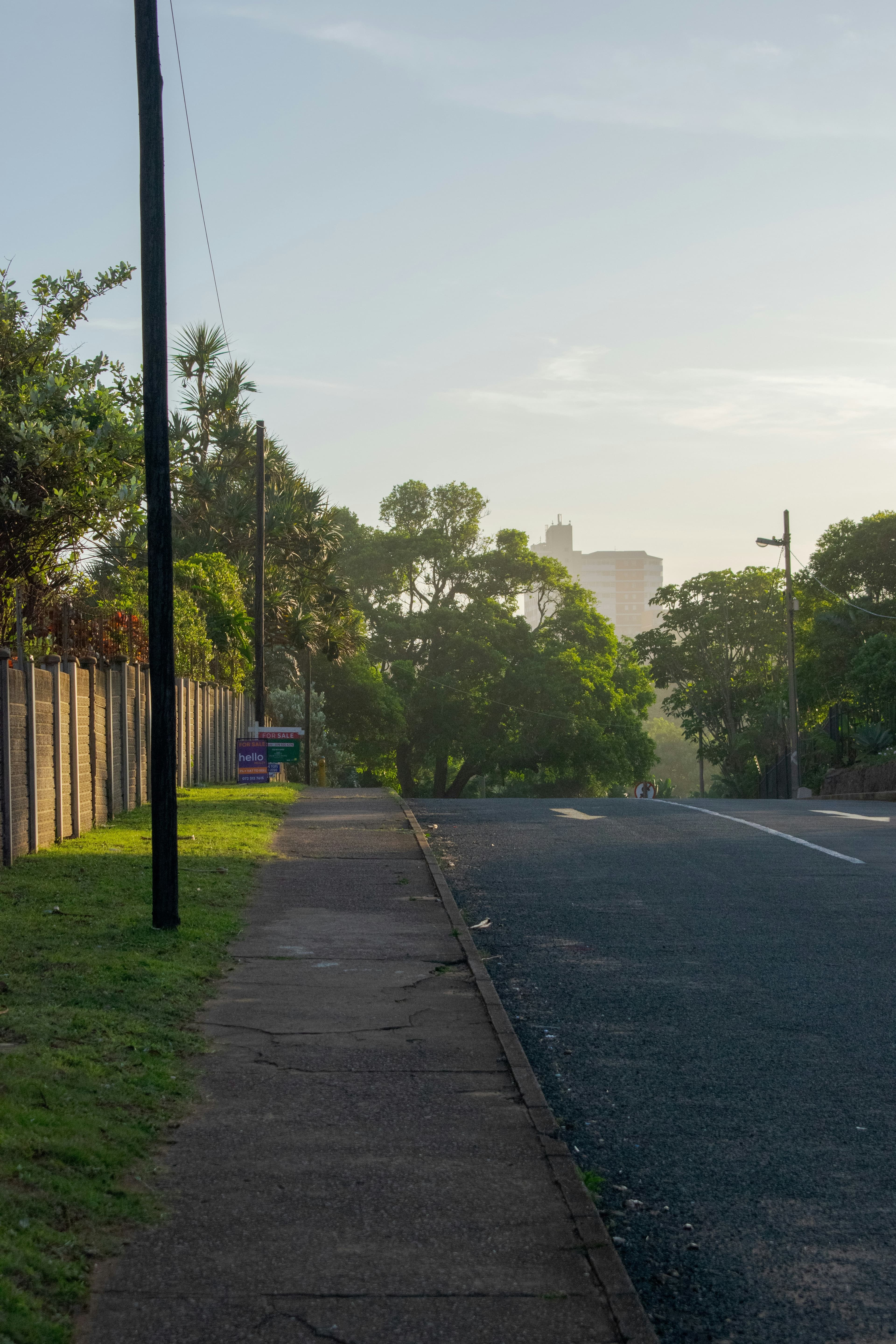 A quiet residential street lined with trees at sunrise