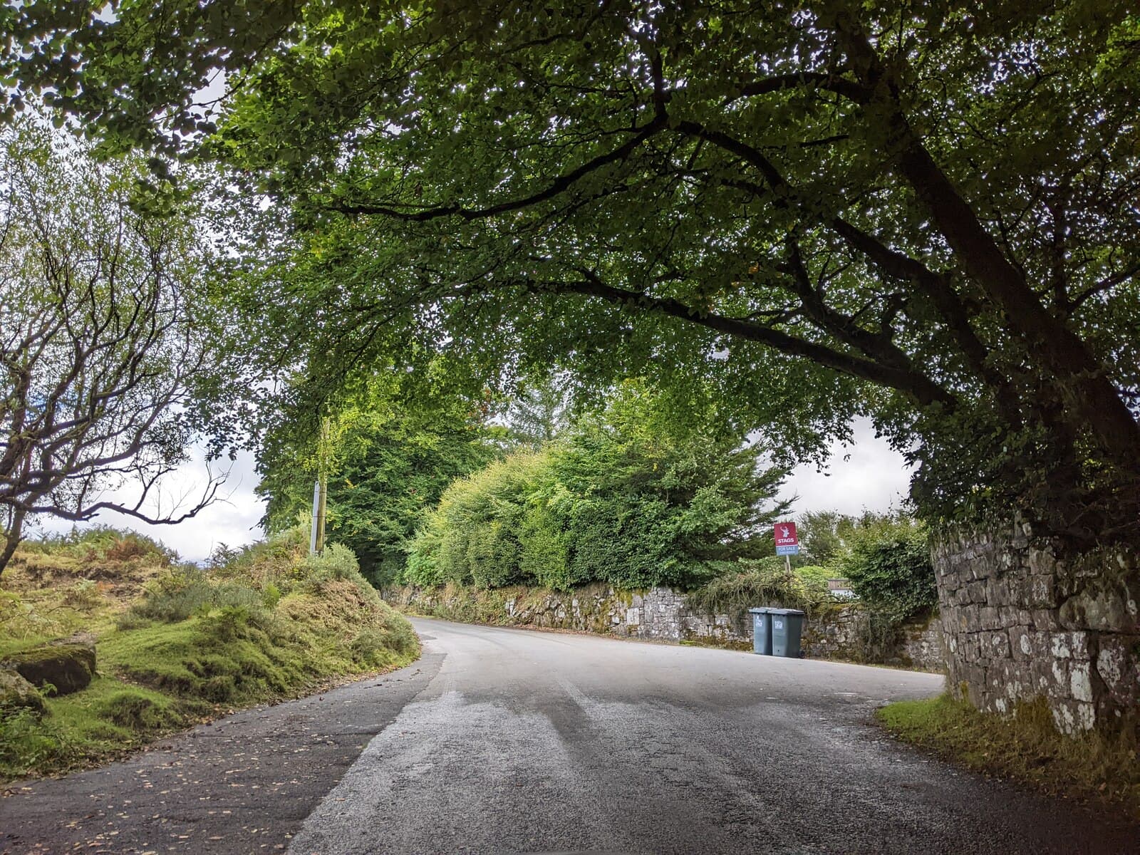 A house for sale sign standing at the end of a quiet country lane