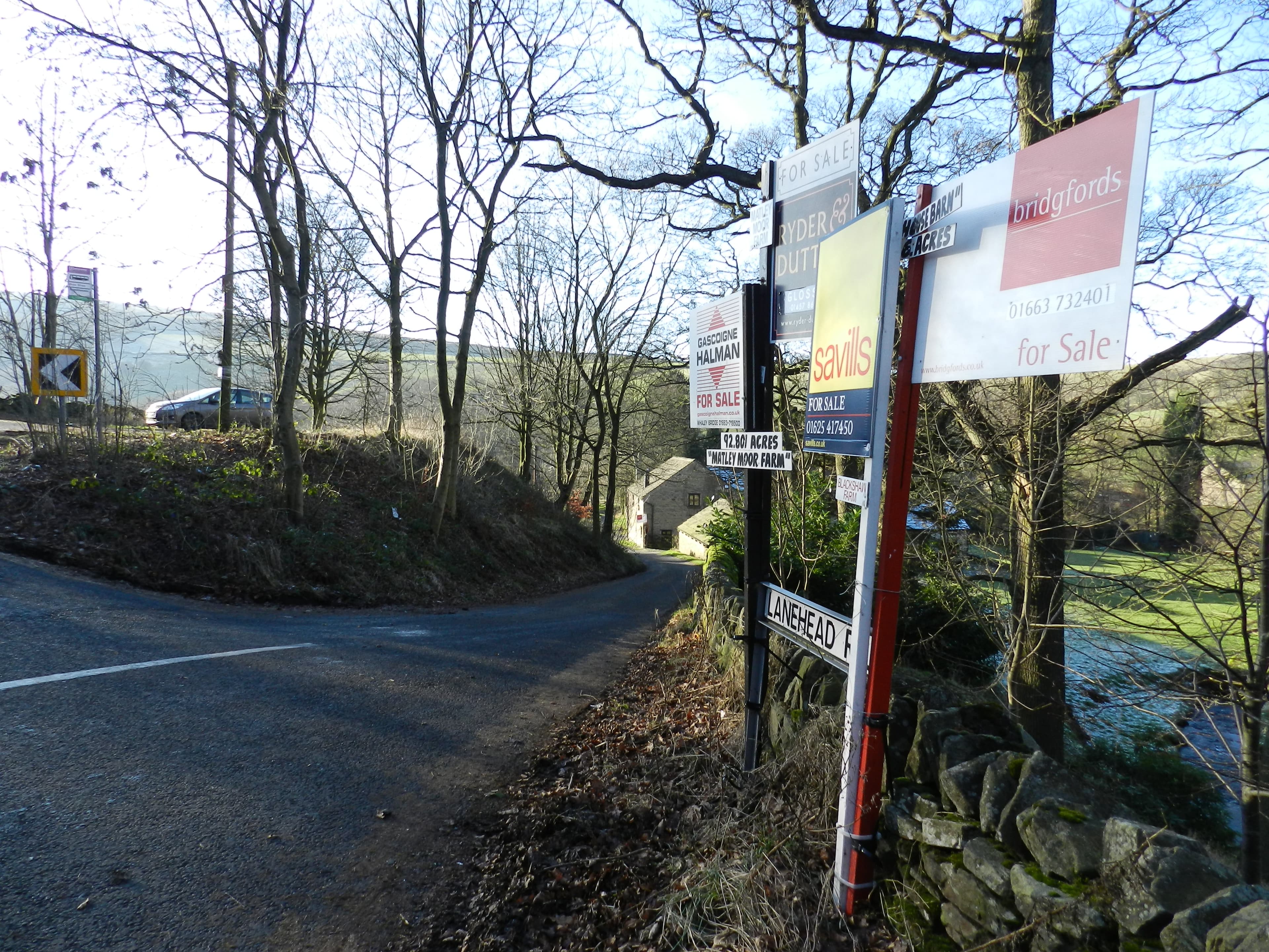 Several estate agents' sale signs outside homes on a residential street