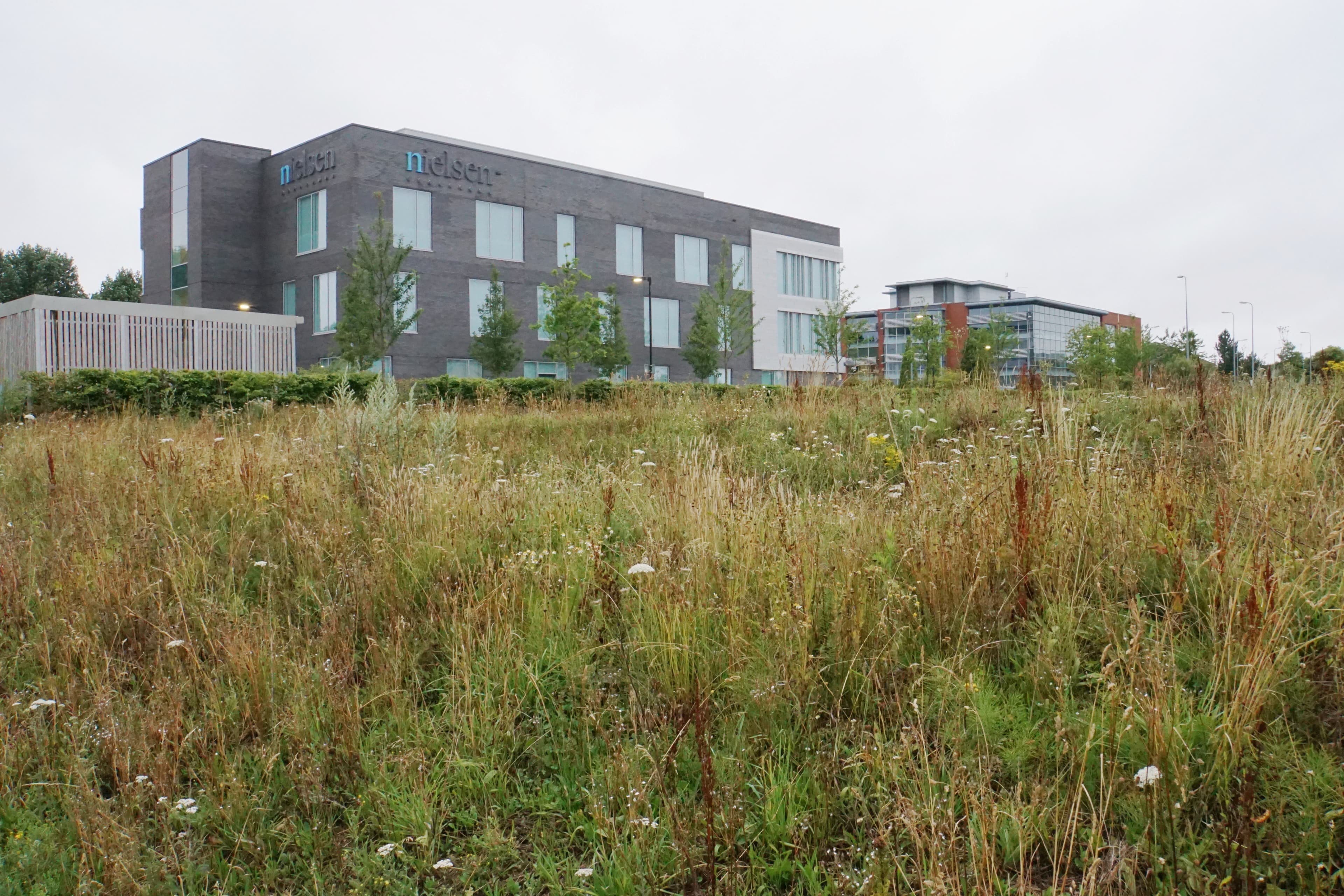 Modern office blocks on a business park, the kind of workplace a home buyer might move between during a house purchase