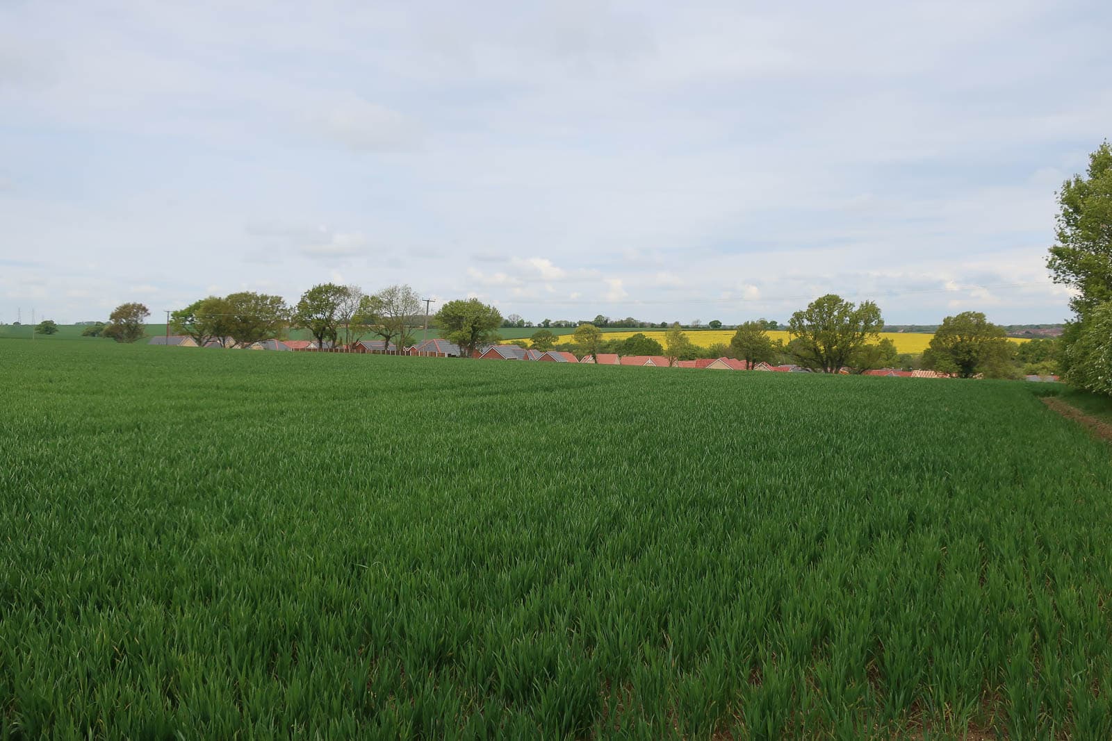 Rows of new houses on the edge of Stowmarket in Suffolk, the town with the highest rate of short-hold sellers selling below their purchase price