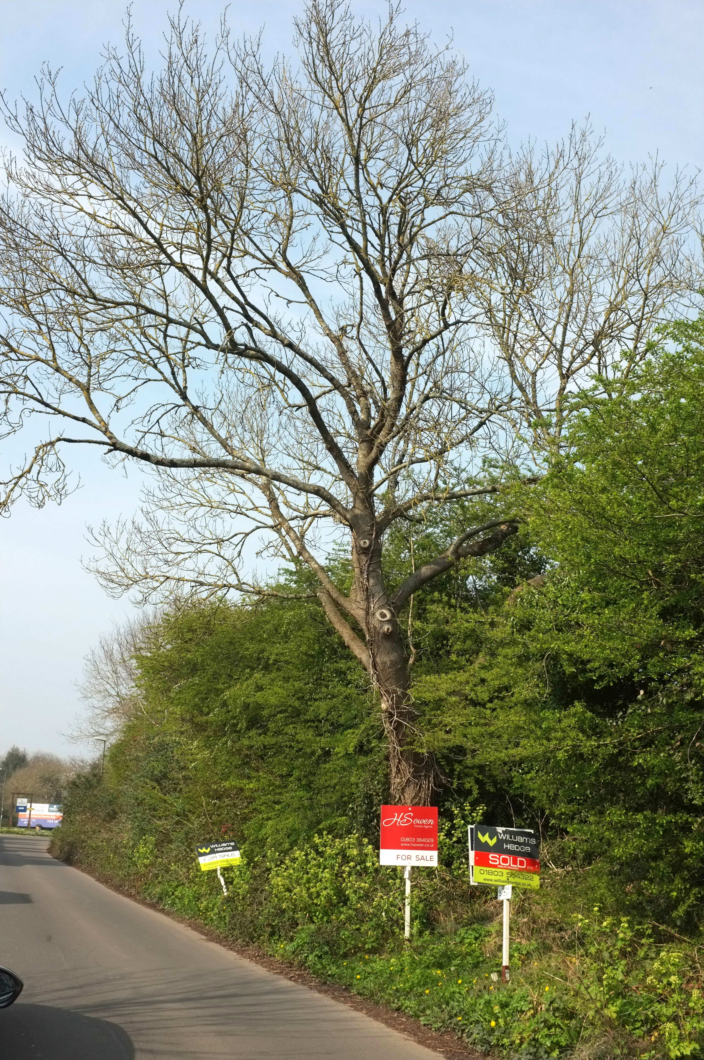 Estate agent for sale signs outside homes on Grange Road, Goodrington