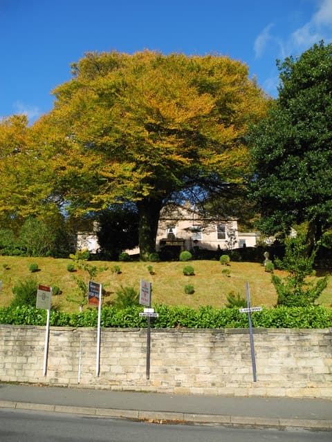 A row of estate agent For Sale boards standing along a stone wall in front of a house set back behind autumn trees